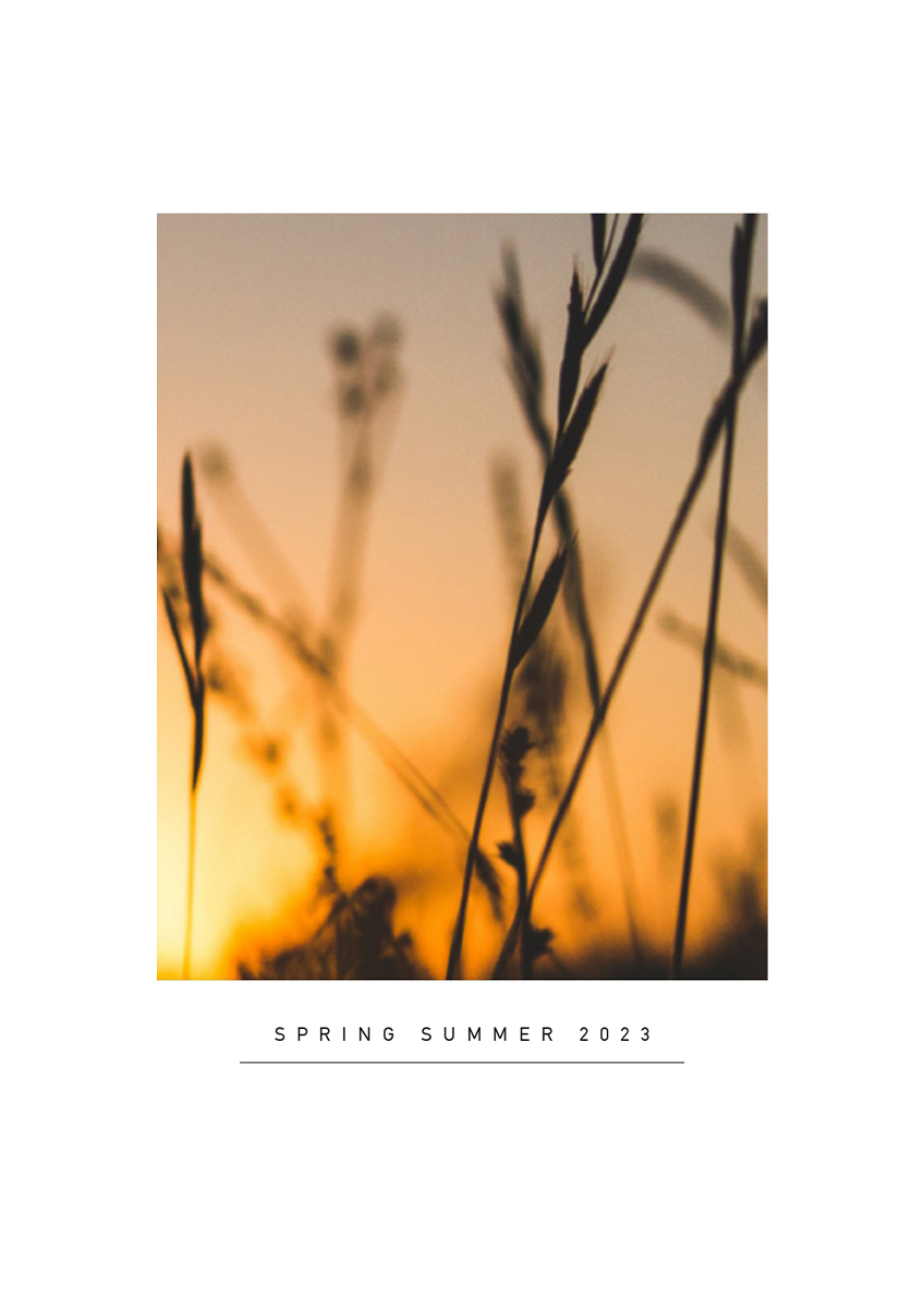 image-imageBoxSlider-67dd958e38c8d0