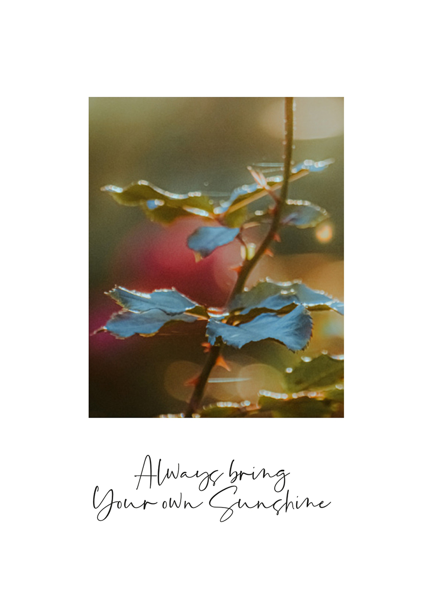 image-imageBoxSlider-67dd958e3fa290